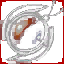 .png